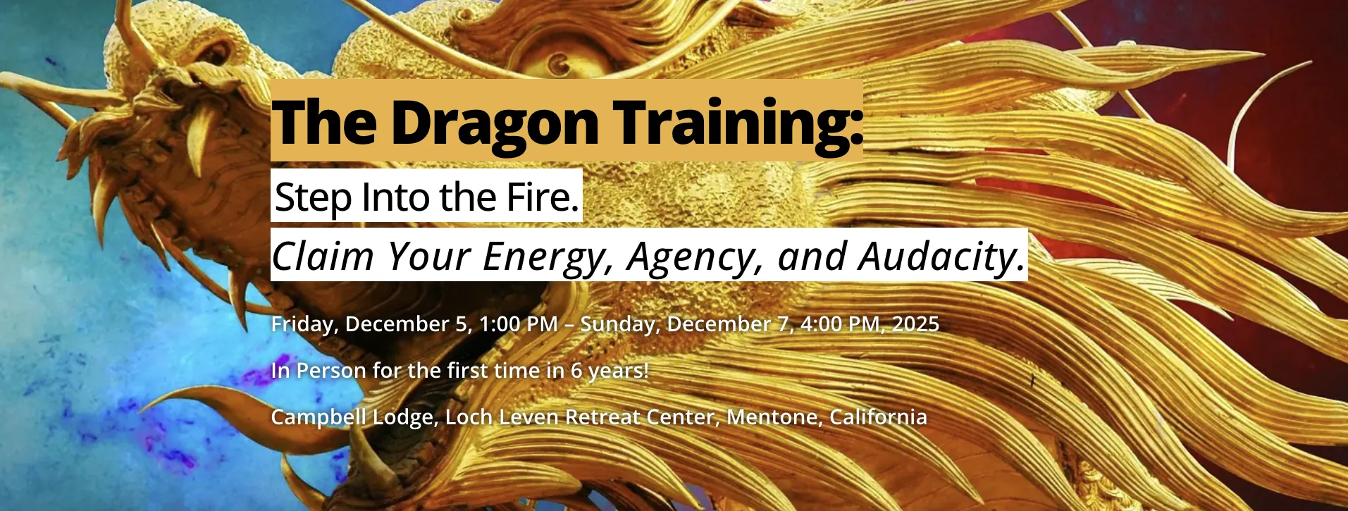 The Dragon Training Banner for December 2025