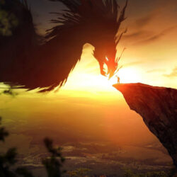 The Dragon Training 8 - June 2026
